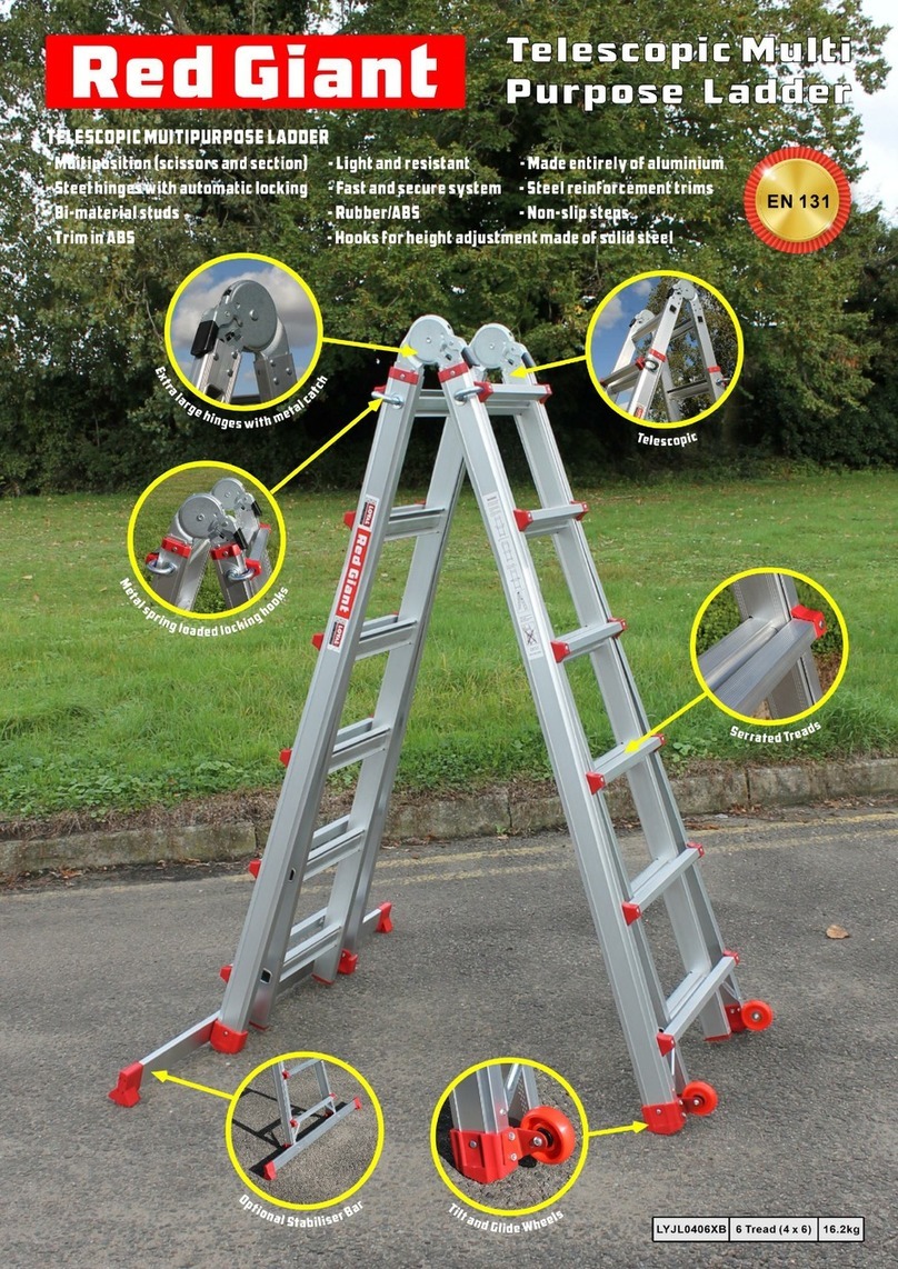 Loyal Red Giant User manual