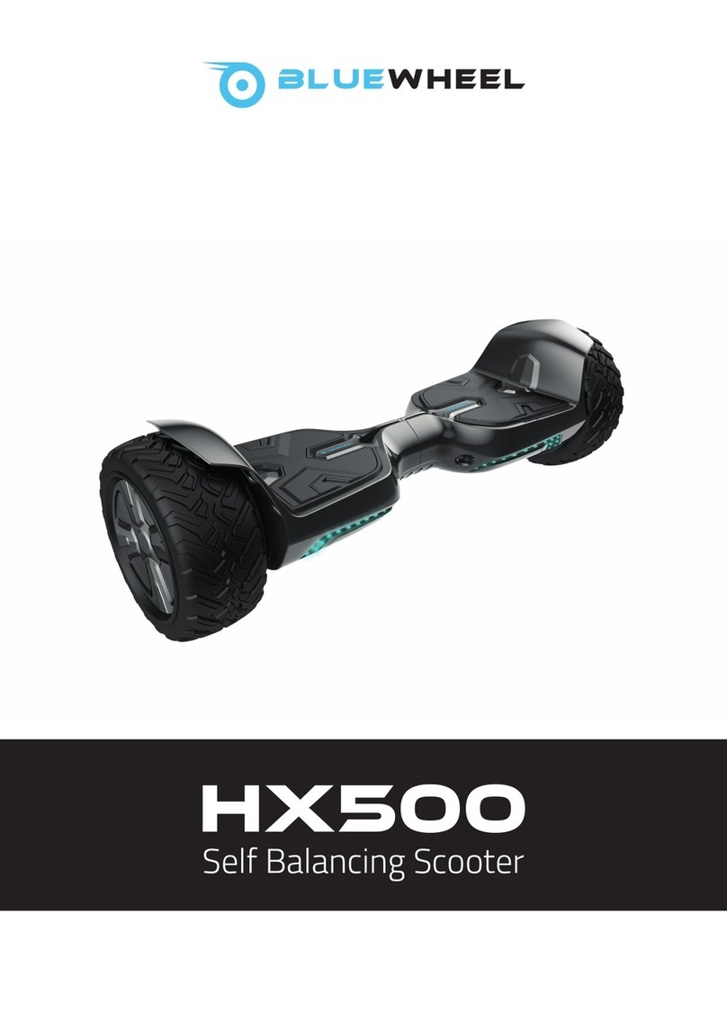 Bluewheel HX500 manual