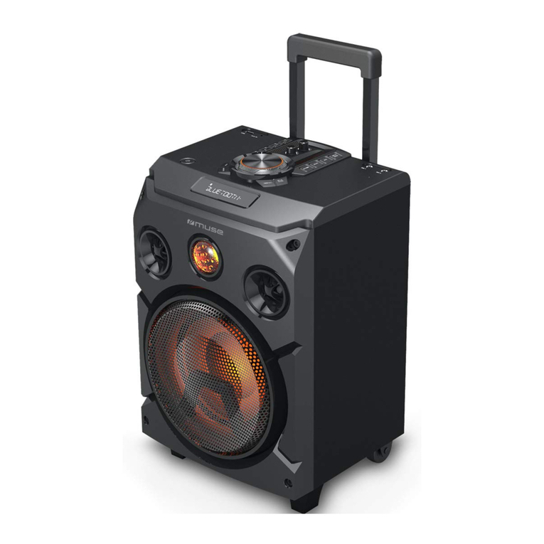 Muse M-1915 DJ user manual