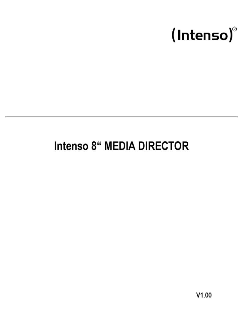 Intenso 8 MEDIA DIRECTOR manual