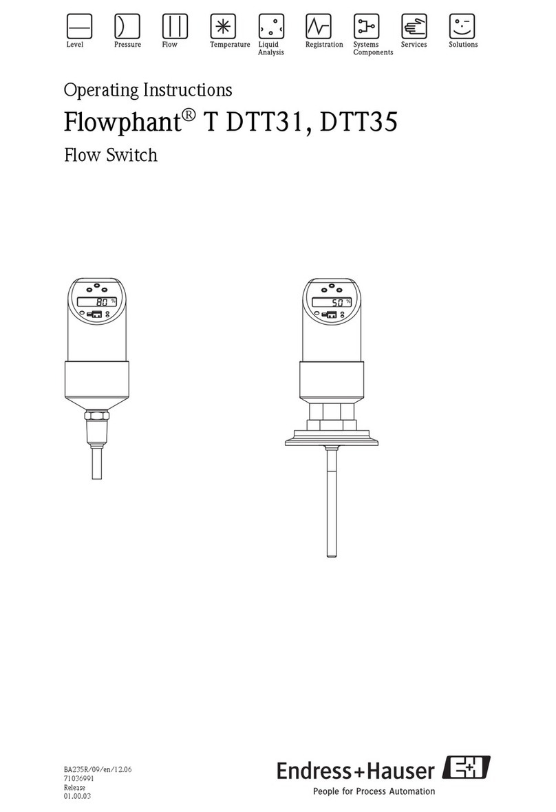 Endress+Hauser Flowphant T DTT31 User manual Endress+Hauser Flowphant T DTT31 User manual