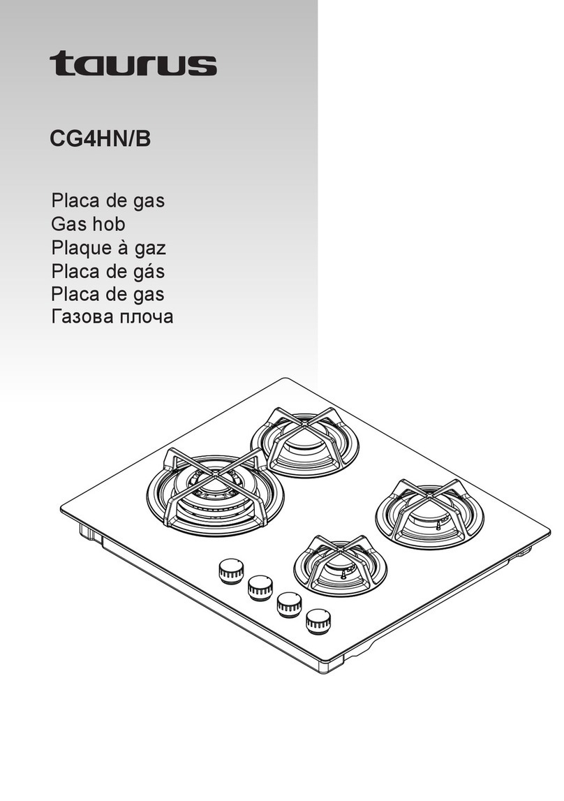 Taurus CG4HN/B instructions