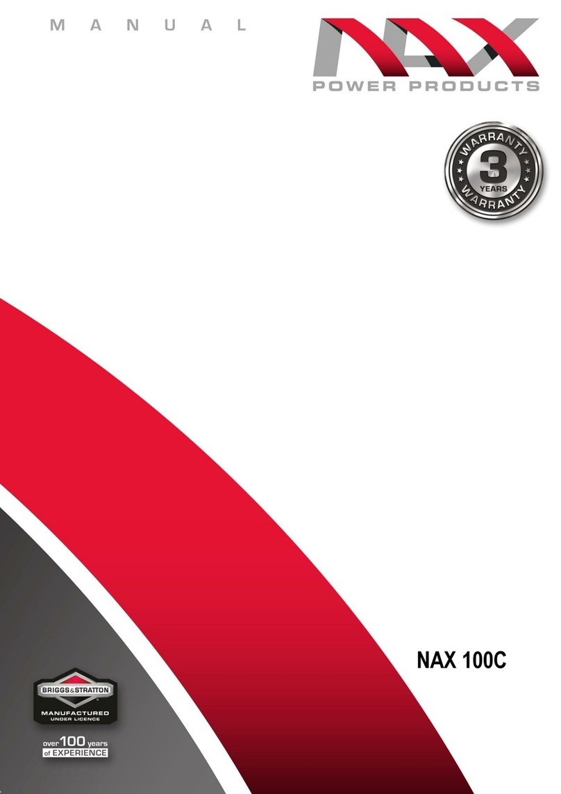 Briggs & Stratton NAX 100C manual