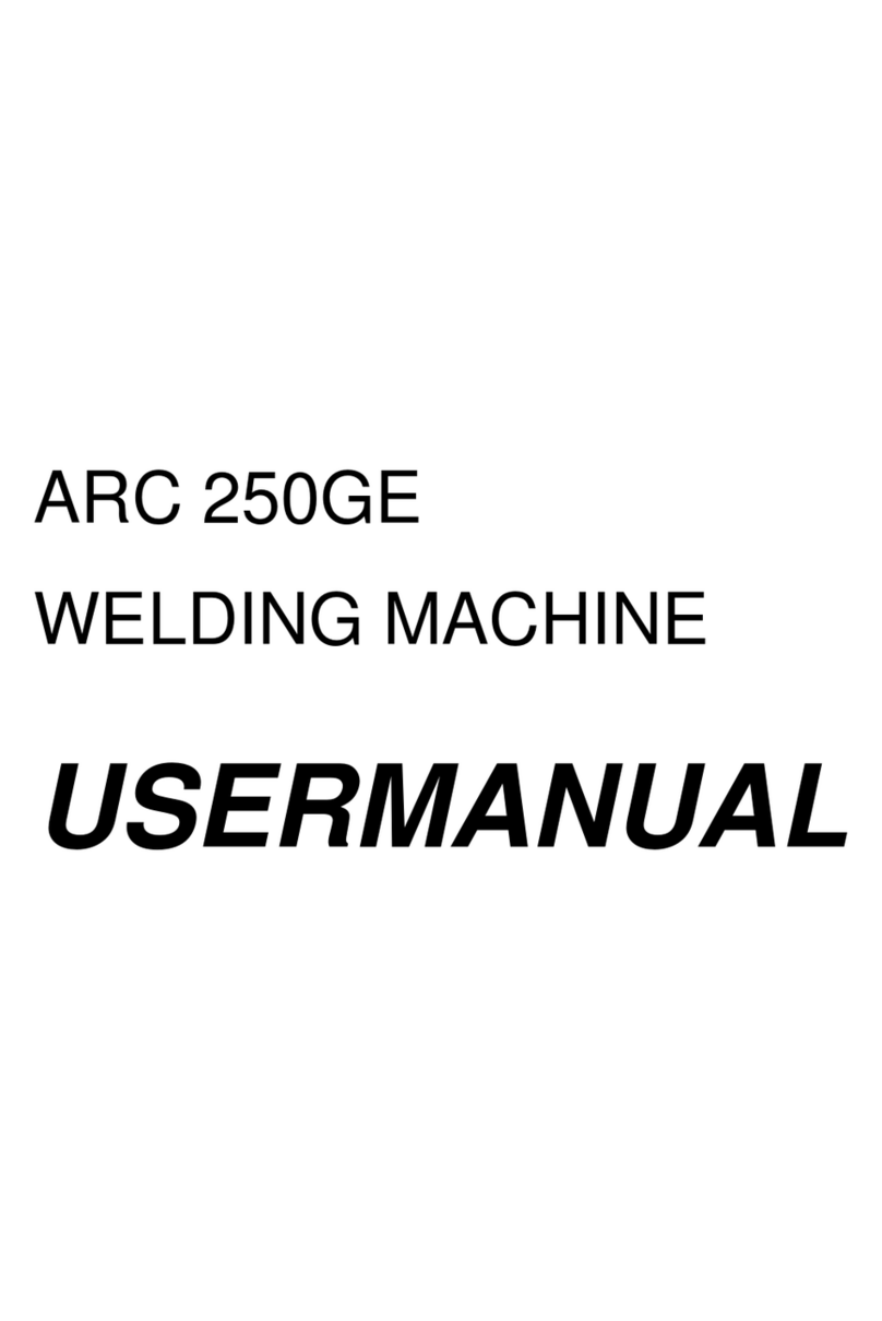 Riland ARC 250GE user manual