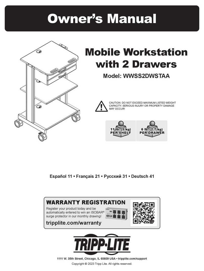 Tripp Lite WWSS2DWSTAA User manual
