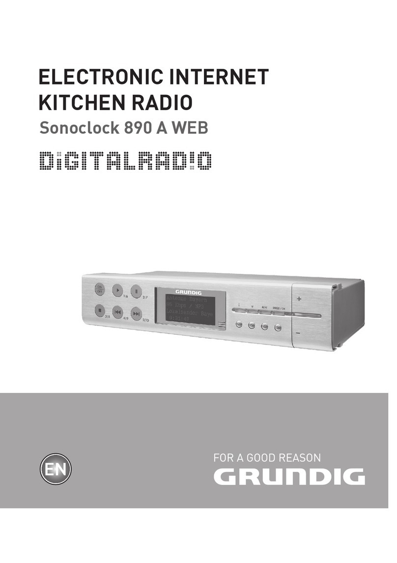 Grundig Sonoclock 890 A WEB User manual