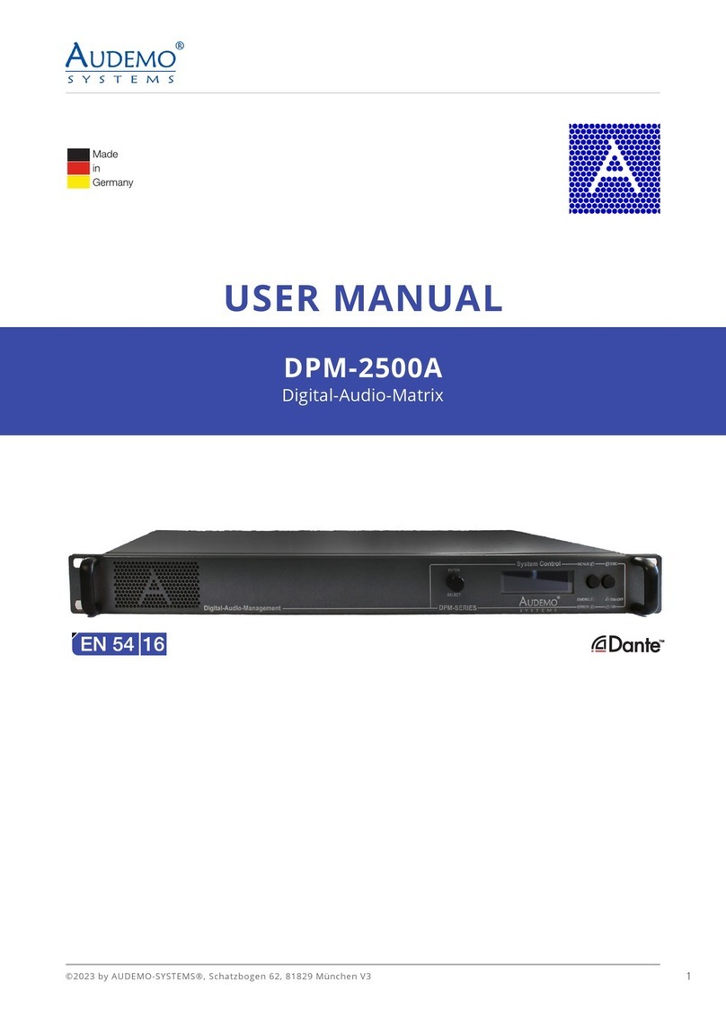 Audemo SYSTEMS Dante DPM-2500A user manual