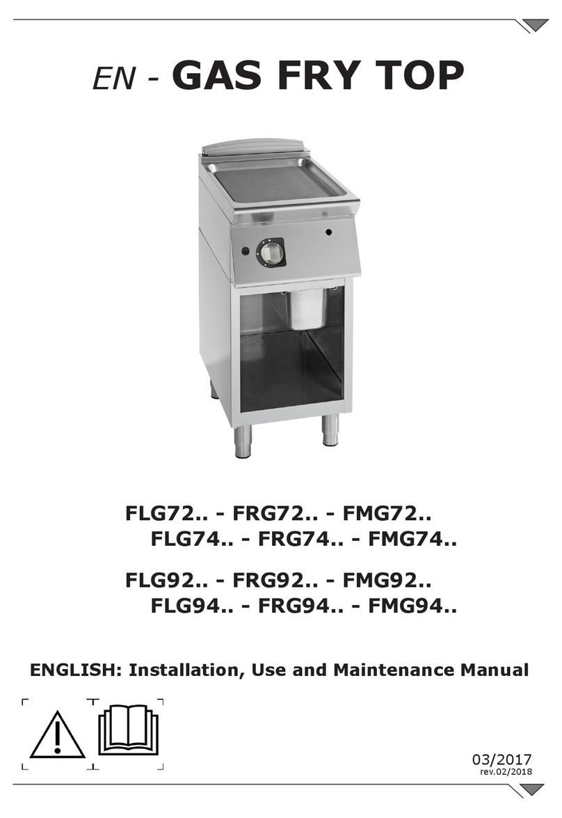 Giorik FLG72 Series Instructions for installation, use and maintenance manual