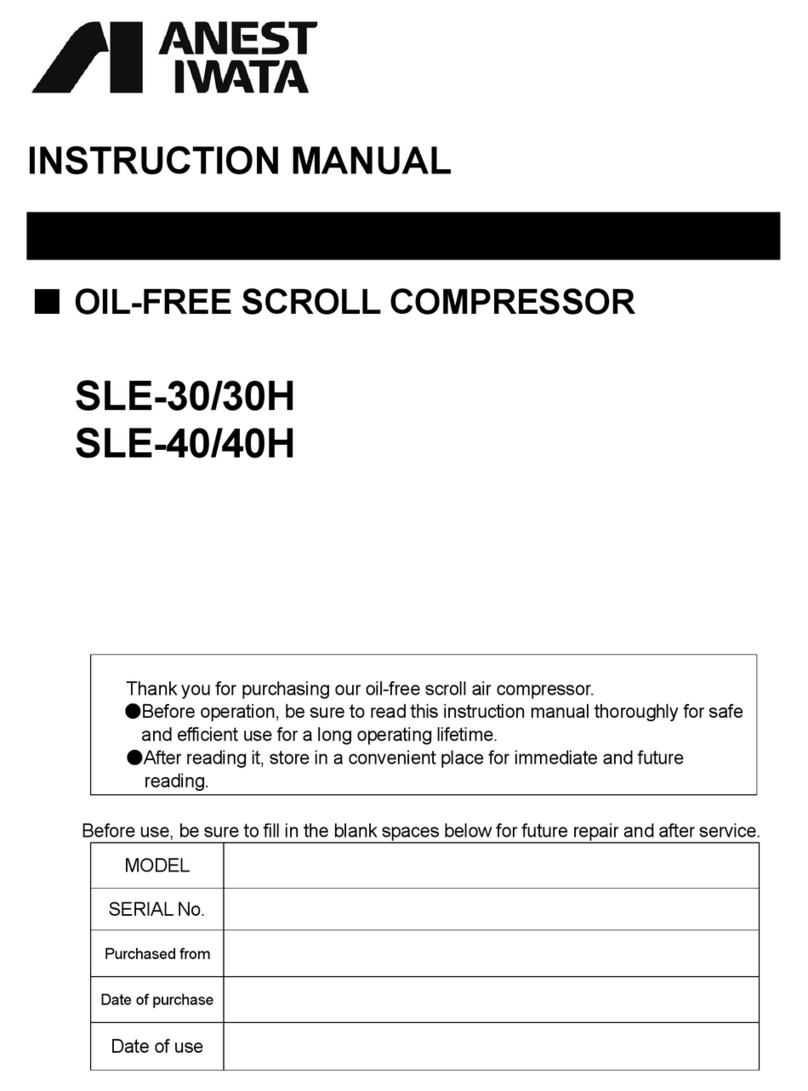 Anest Iwata SLE-30 instruction manual