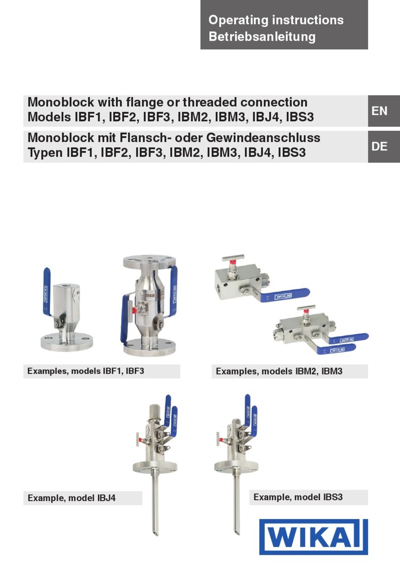 WIKA IBF1 User manual