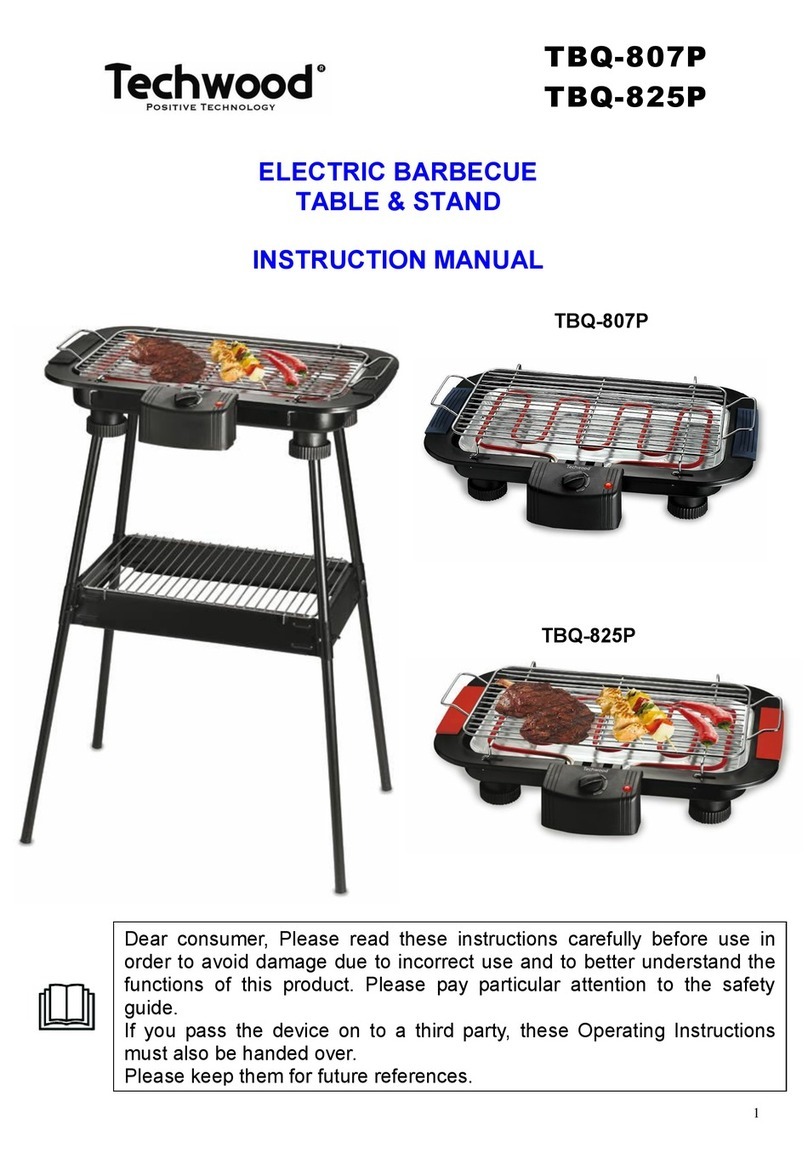 TECHWOOD TBQ-807P User manual