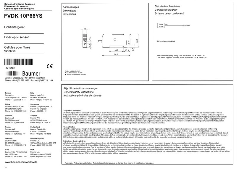 Baumer FVDK 10P66YS Technical data