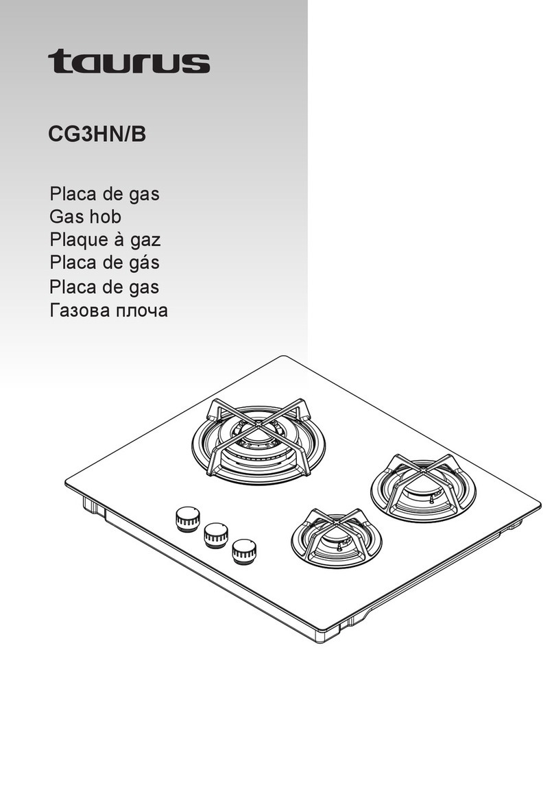 Taurus CG3HN/B manual