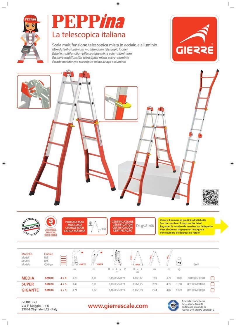 GIERRE PEPPina MEDIA User manual