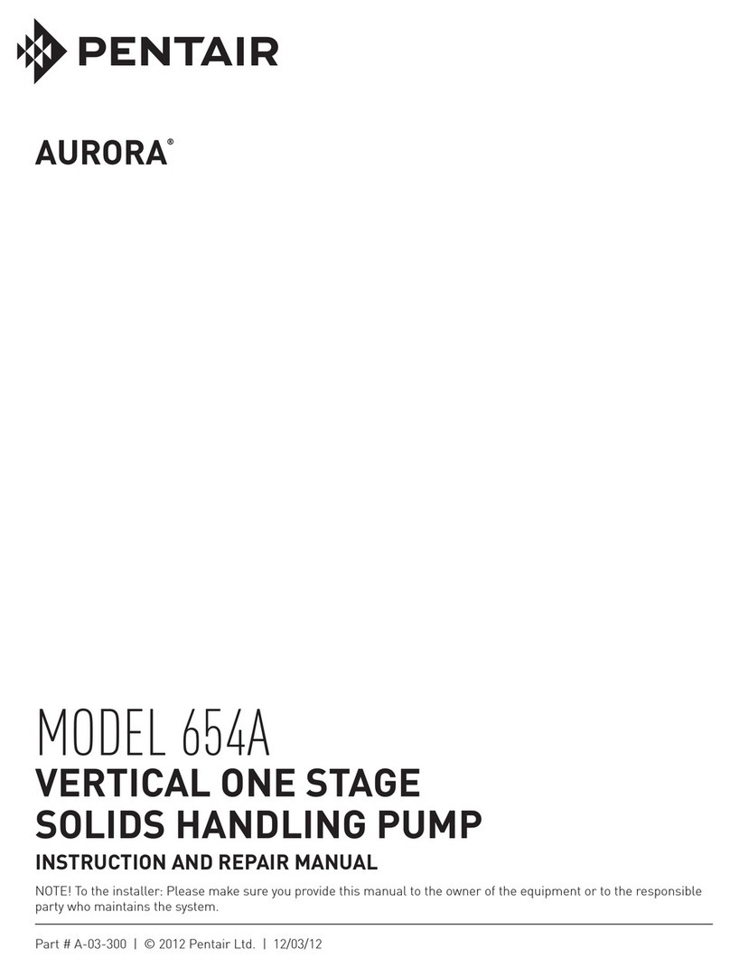 Pentair AURORA 654A Instruction and repair manual Pentair AURORA 654A Instruction and repair manual