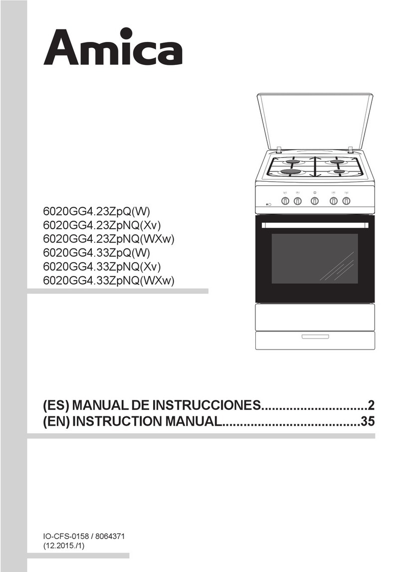Amica 6020GG4.23ZpQ User manual Amica 6020GG4.23ZpQ User manual