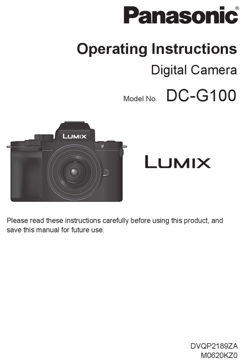 Panasonic LUMIX DCG100VGNK User manual