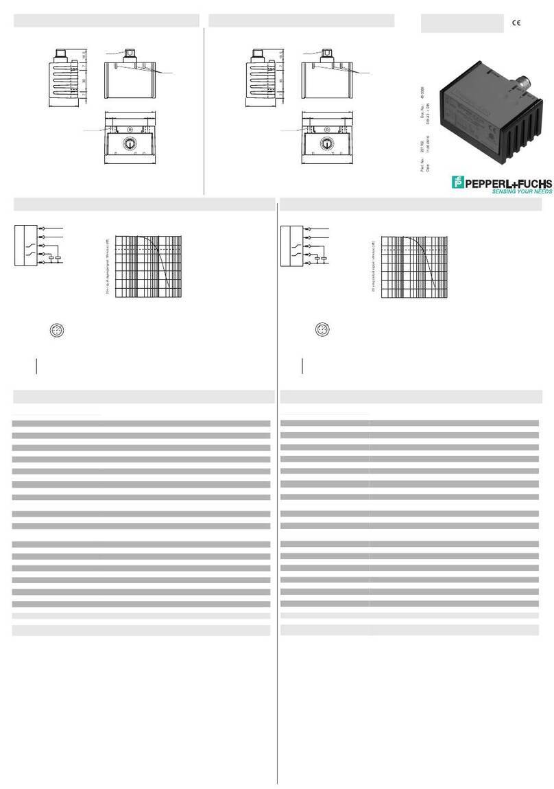 Pepperl+Fuchs ACY04-F99-2I-V15 manual