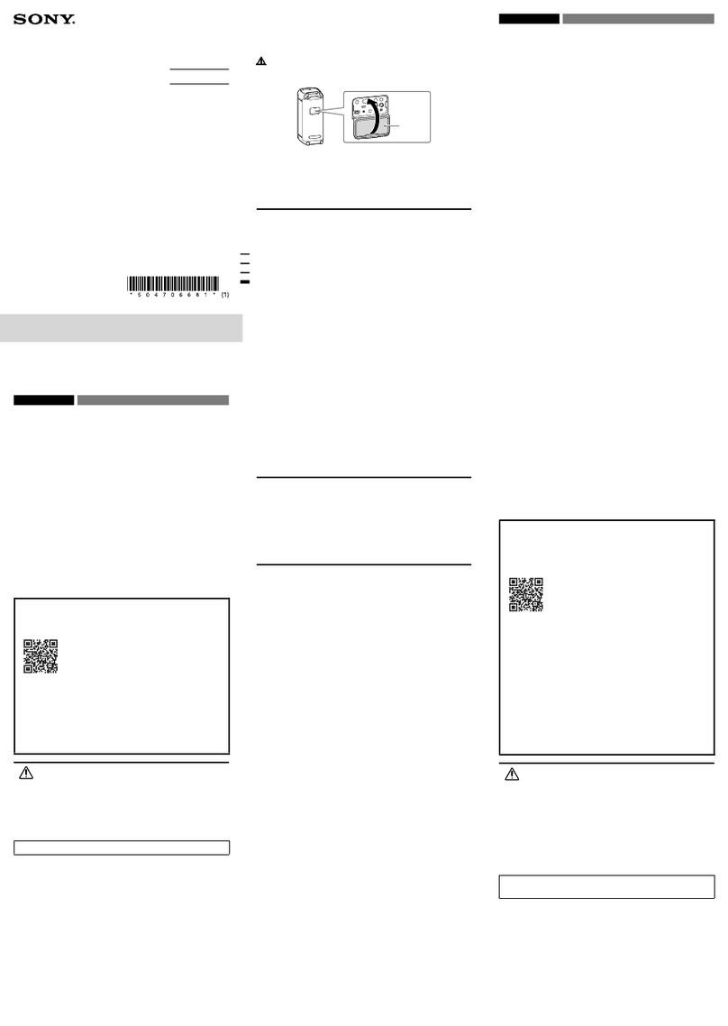 Sony SRS-XV800 User manual