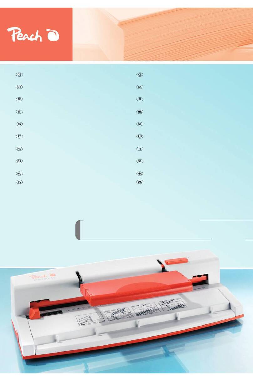 Peach PB300-11 User manual