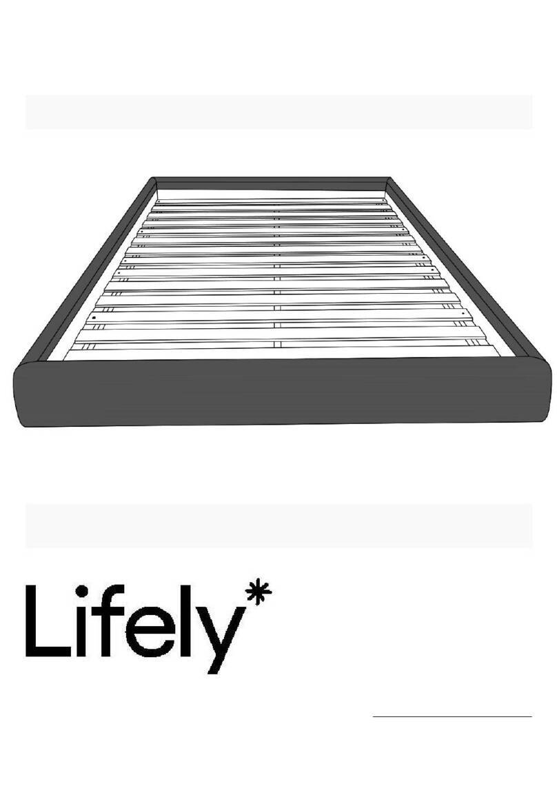 Lifely Felix FELX-BB- K User manual