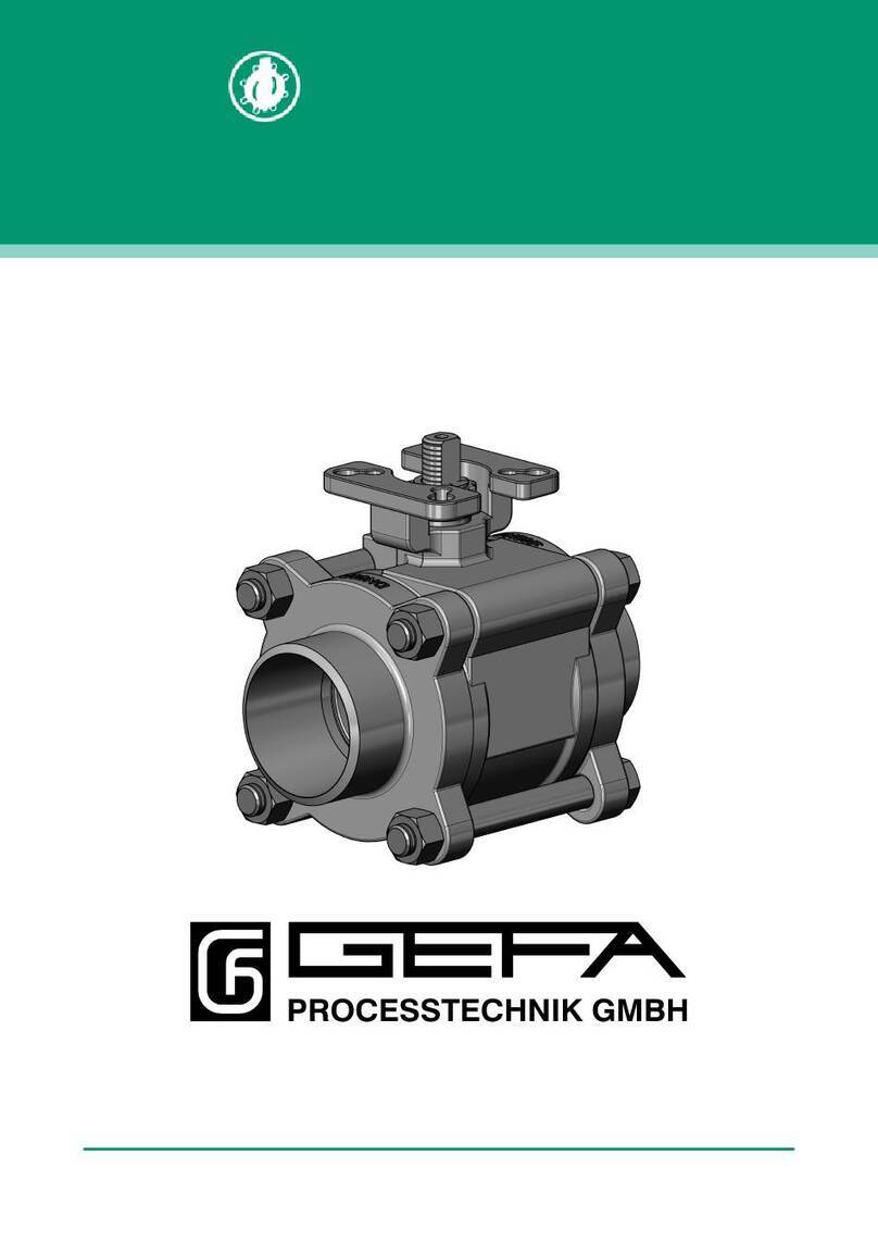 Gefa DG1 User manual