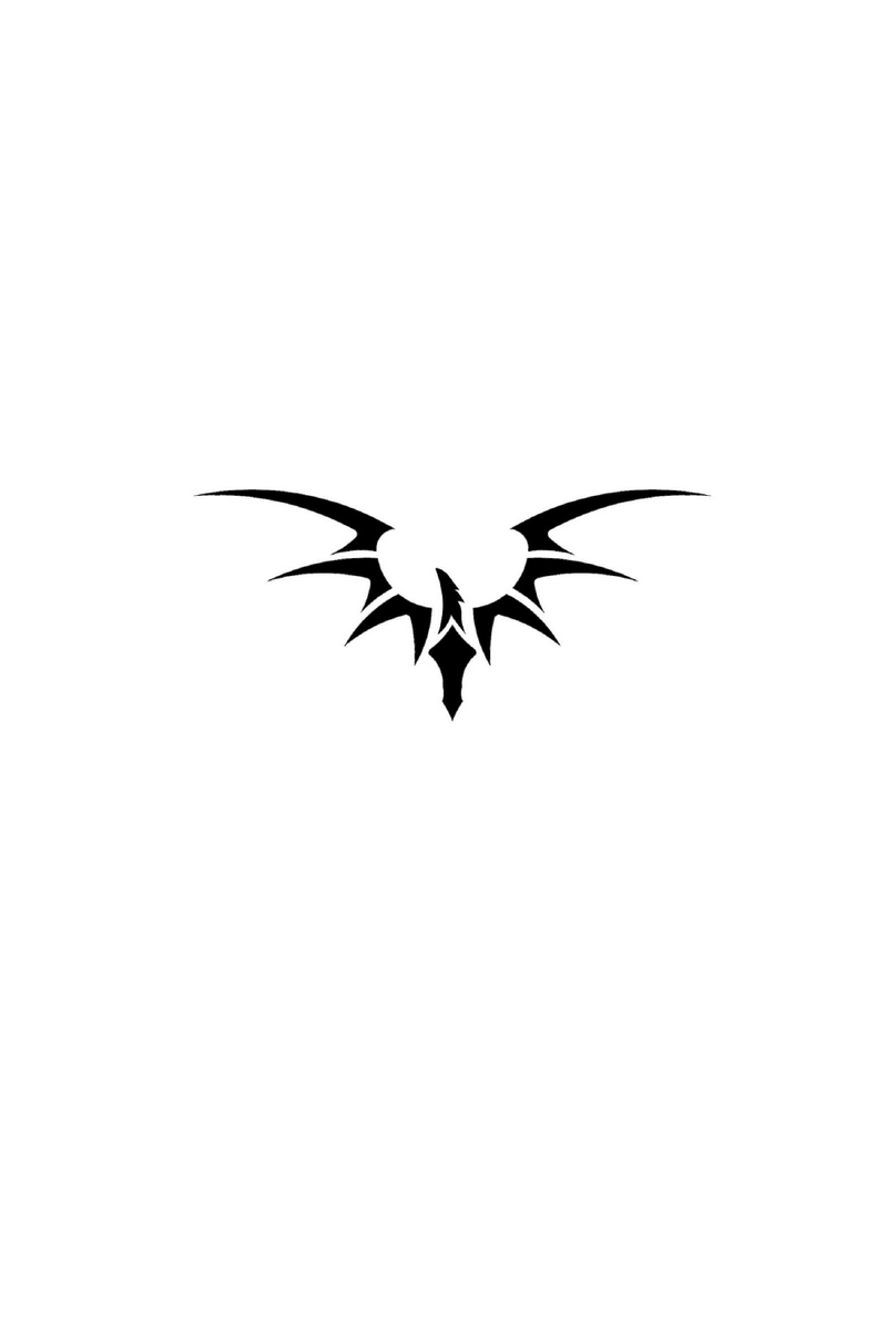 Fenix G12-2 User manual