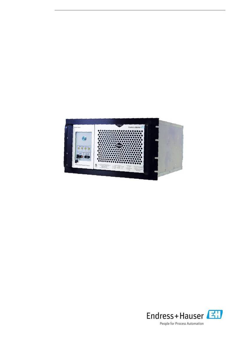 Endress+Hauser Raman Rxn4 operating instructions