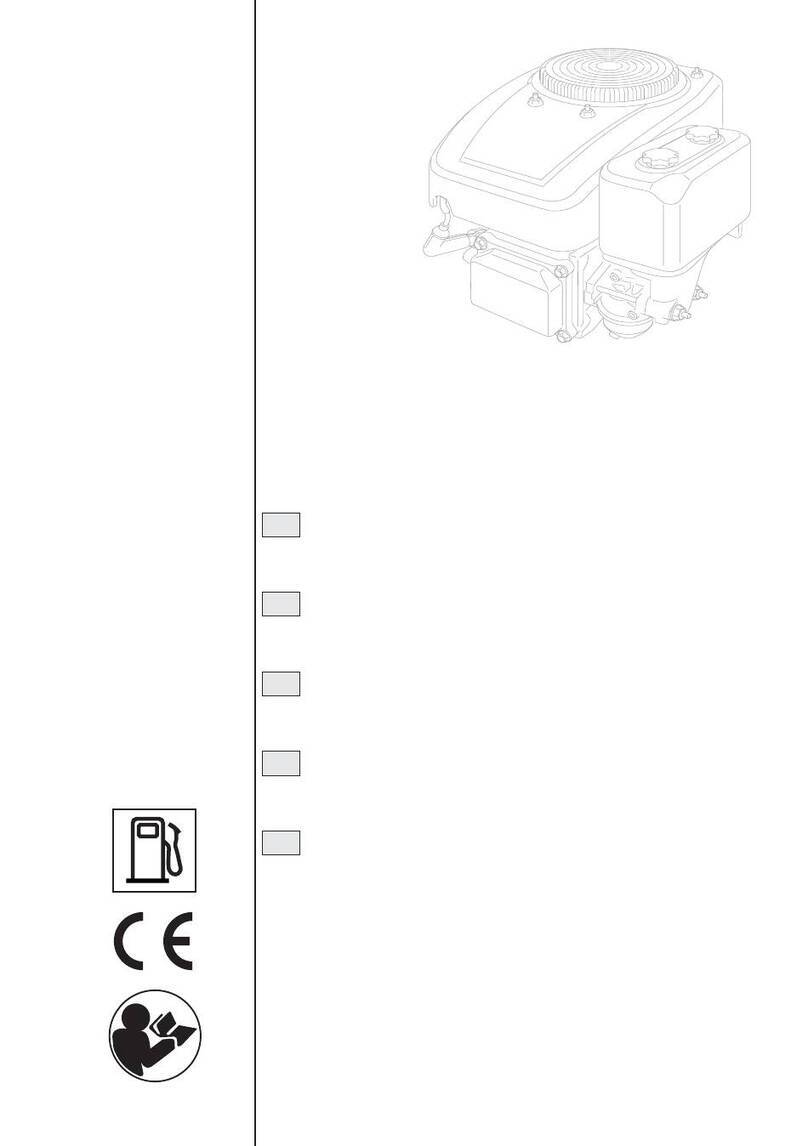 ST. SpA TRE 352 User manual