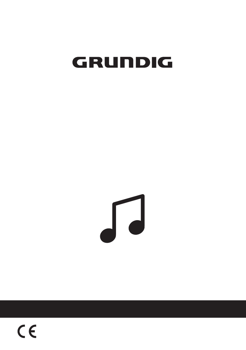 Grundig DSB 1000 User manual Grundig DSB 1000 User manual