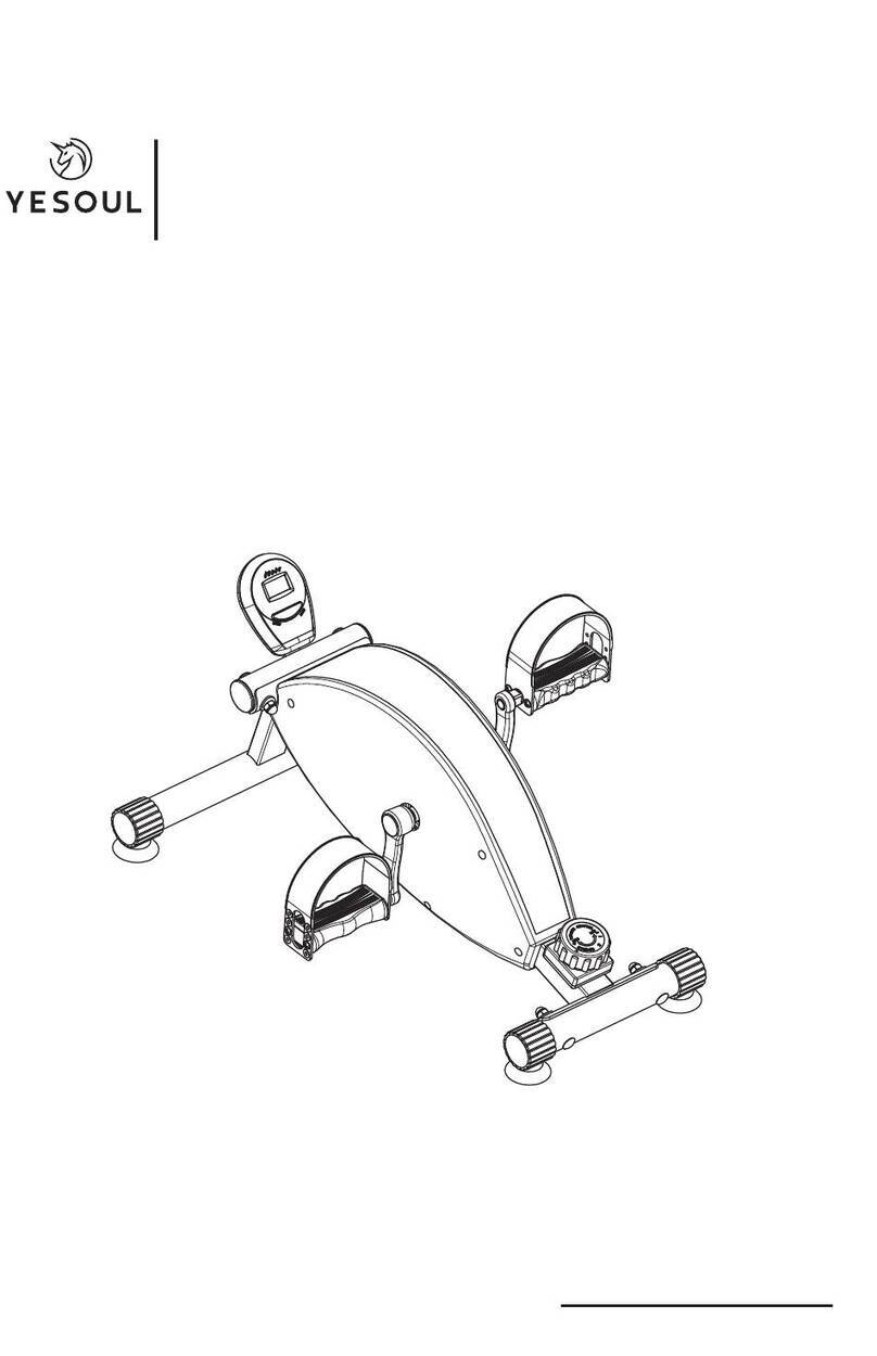 YESOUL MP1 User manual