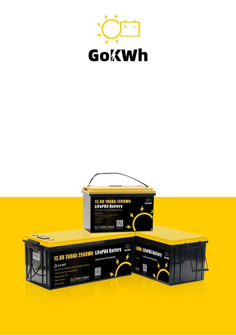 GoKWh 12V100AH user manual