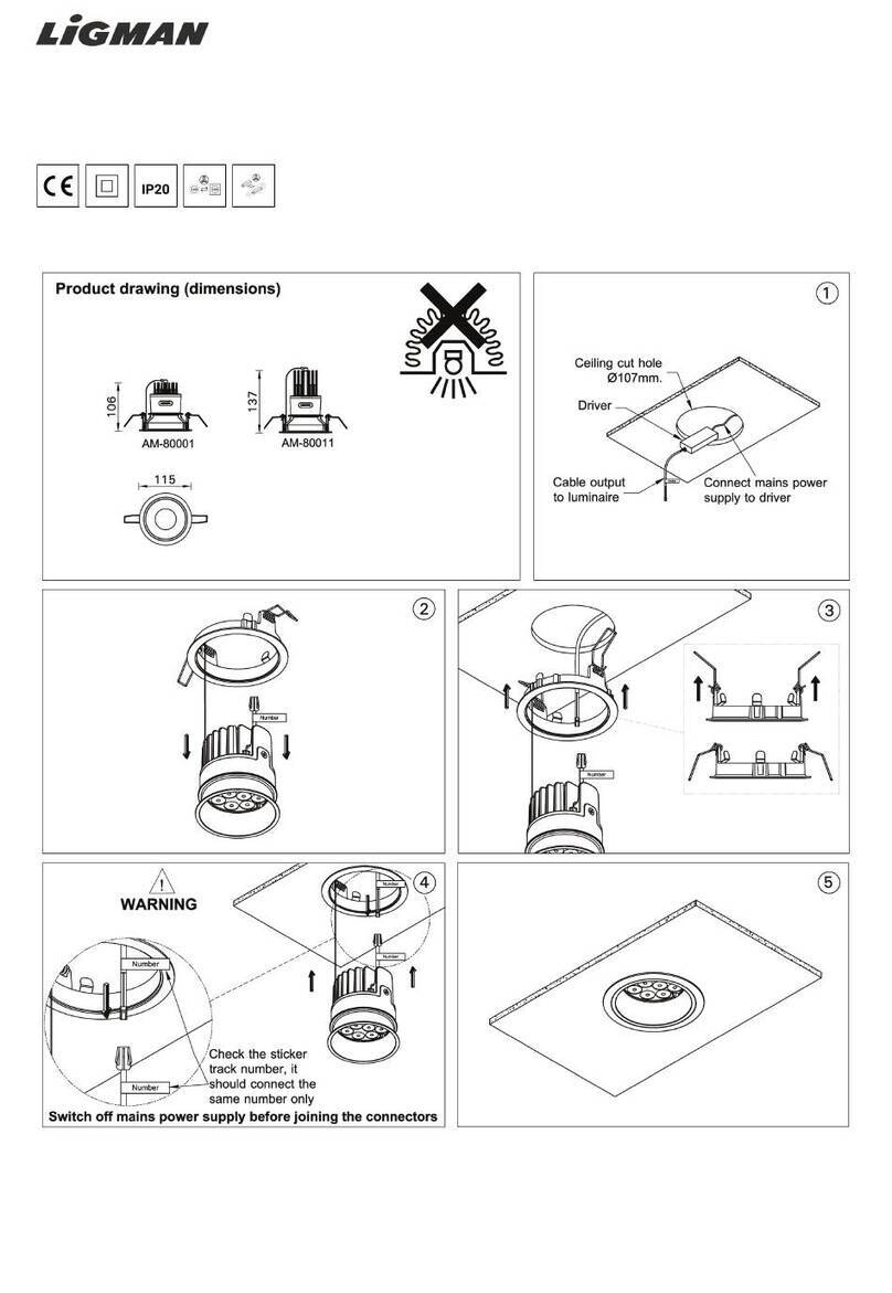 LIGMAN AM-80011 User manual