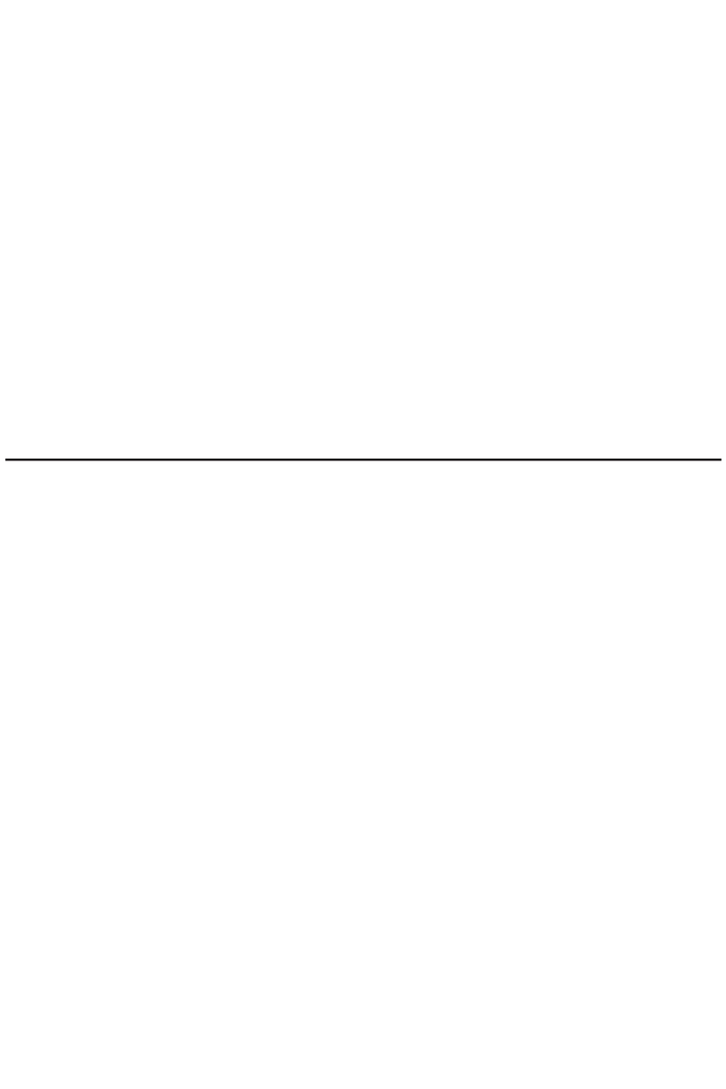 Vasco Translator 2 Premium user manual