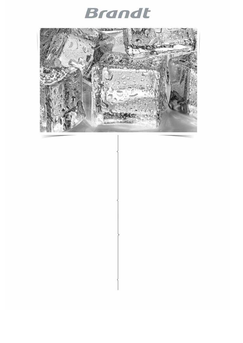 Brandt BVL7260SR instruction manual
