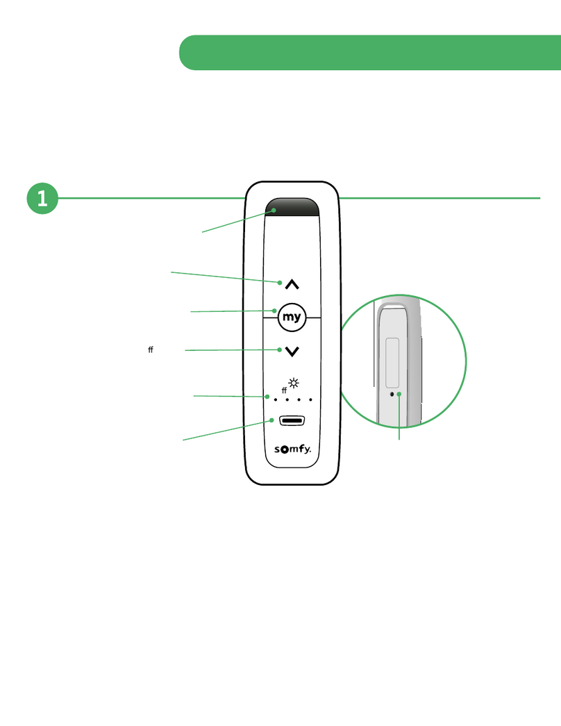 SOMFY SITUO 5 io/RTS PURE User manual SOMFY SITUO 5 io/RTS PURE User manual