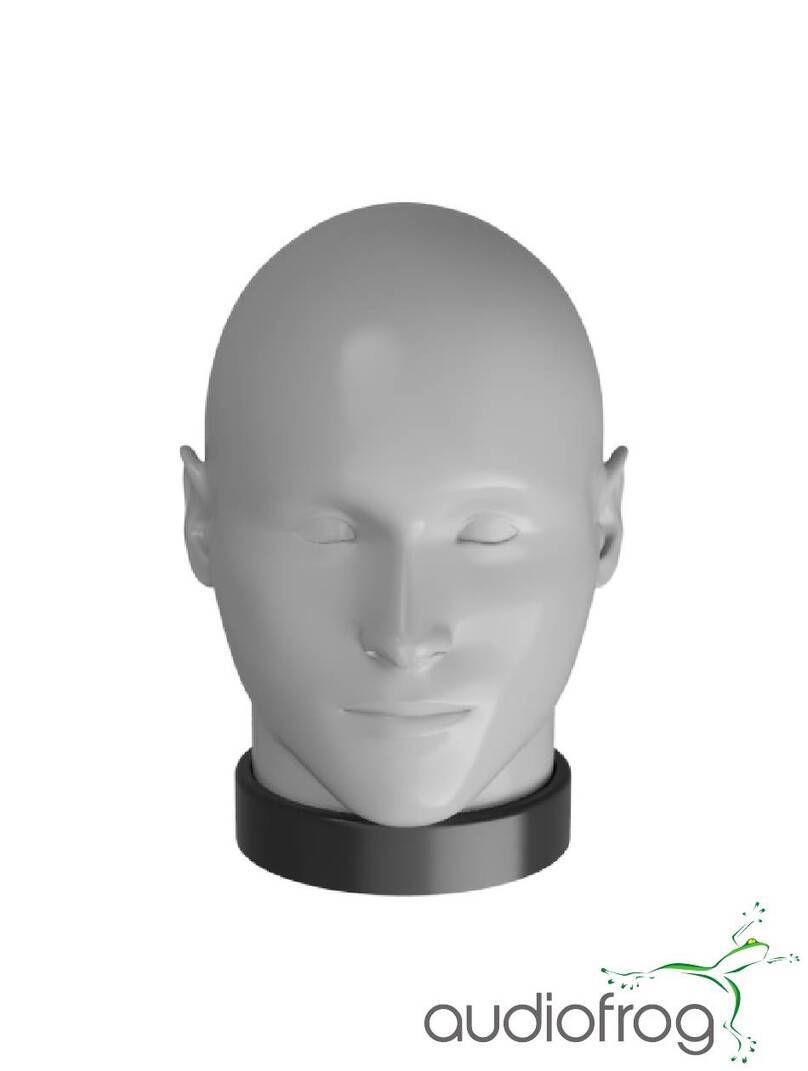 Audiofrog BMH-1 User manual