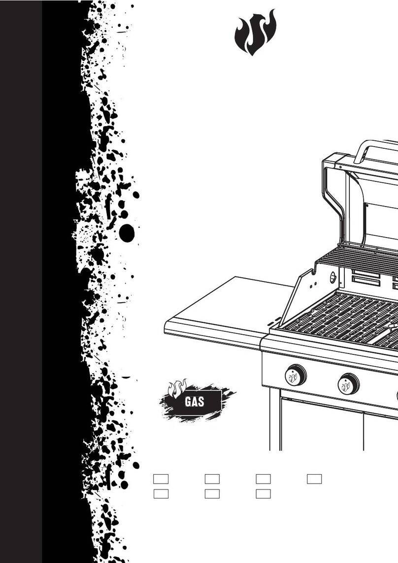 Landmann TRITON User manual