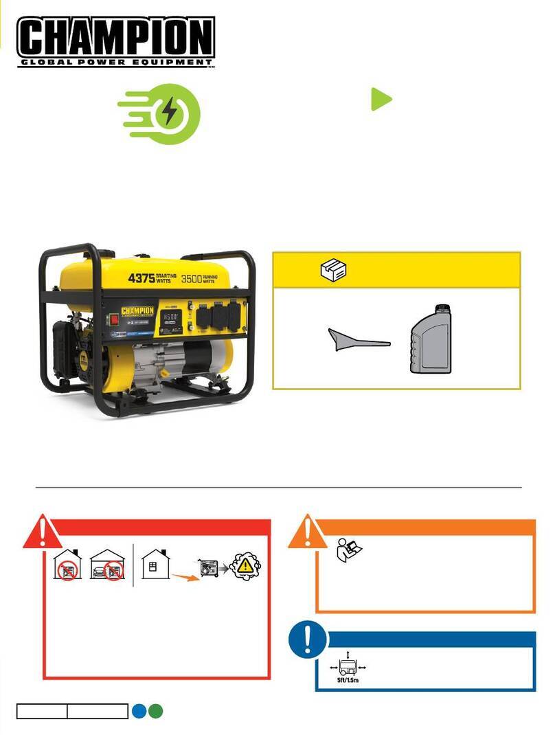 Champion 201286 User manual