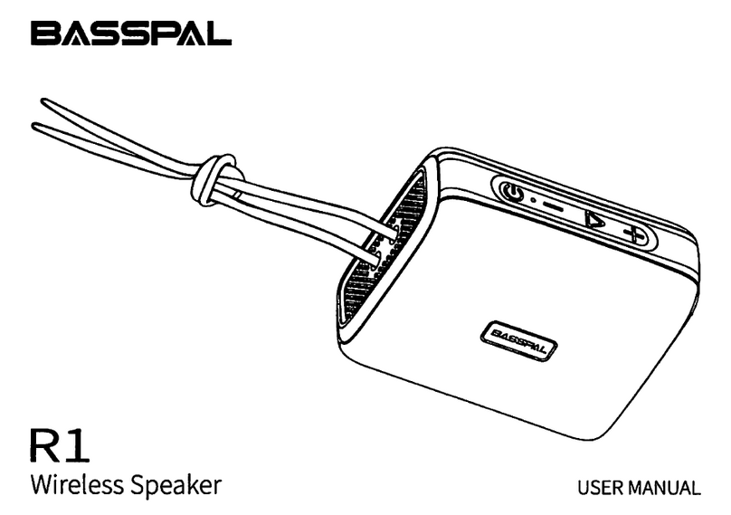 BassPal R1 User manual