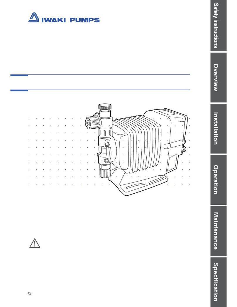 IWAKI PUMPS EWN-R Series instruction manual