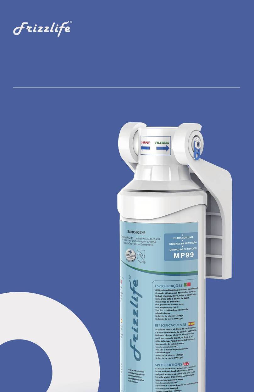 Frizzlife MP99 User manual