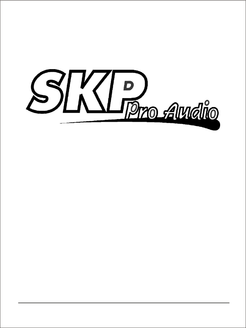 SKP Pro Audio SK-6P owner's manual