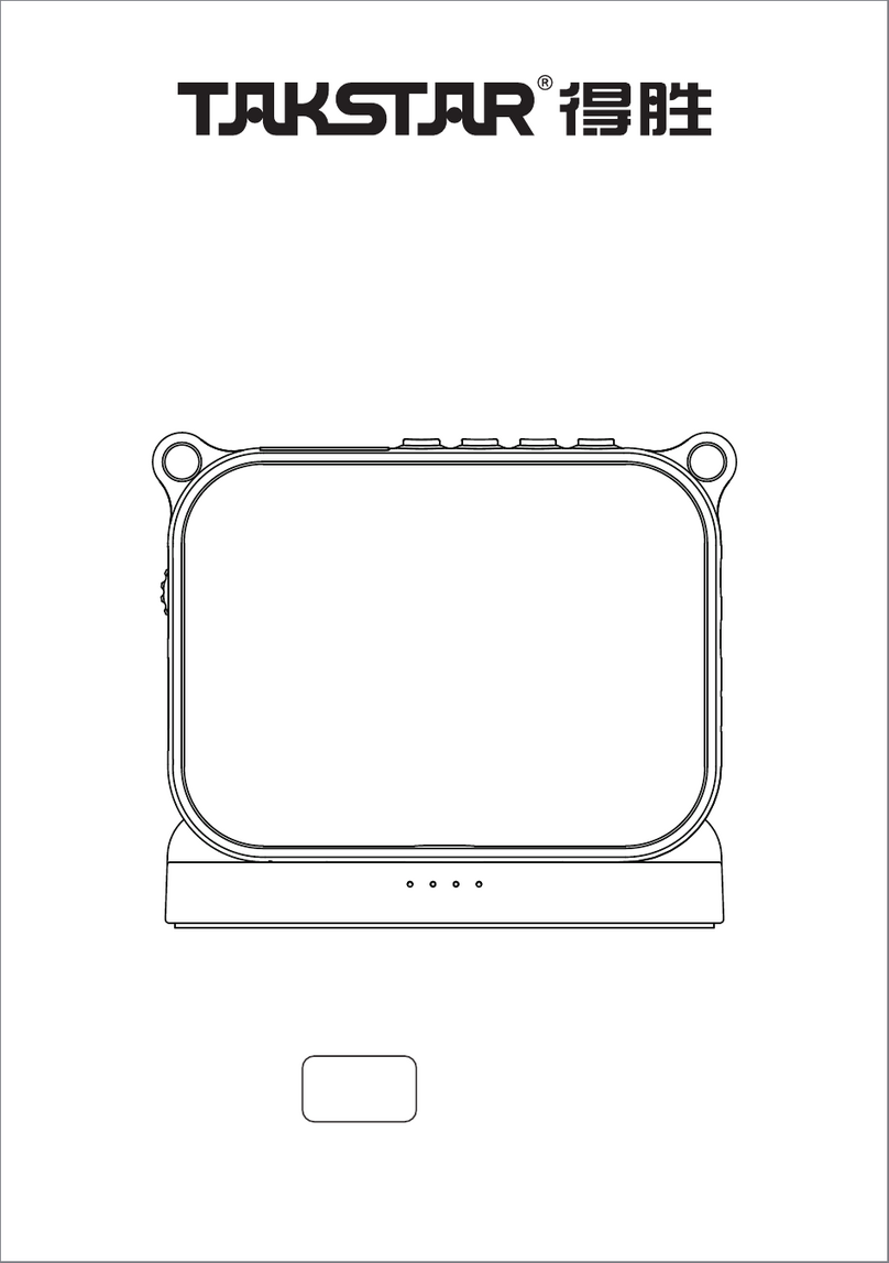 Takstar E30 user manual