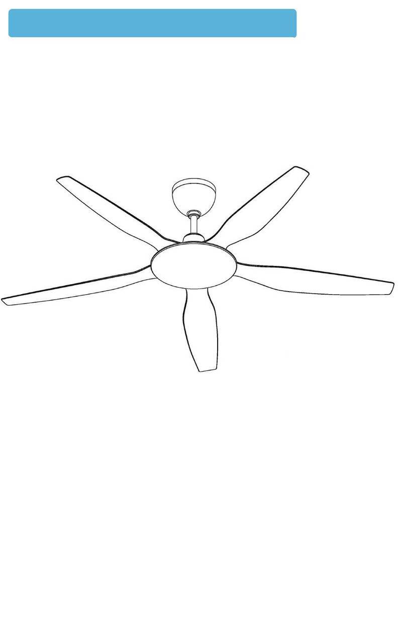 NSB FAN MOORE instruction manual NSB FAN MOORE instruction manual