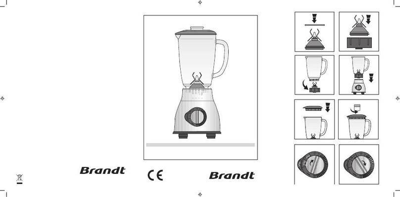 Brandt BLE-1200 X User manual