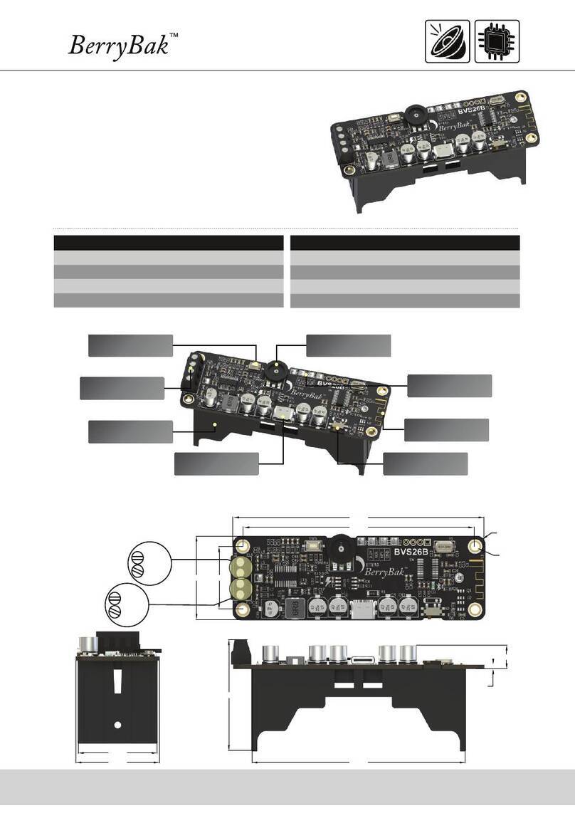 BerryBak BVS26B user manual