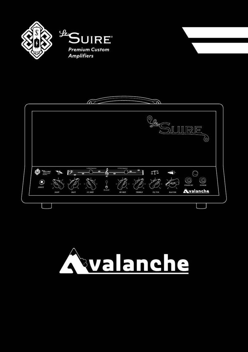 LeSuire Avalanche User manual