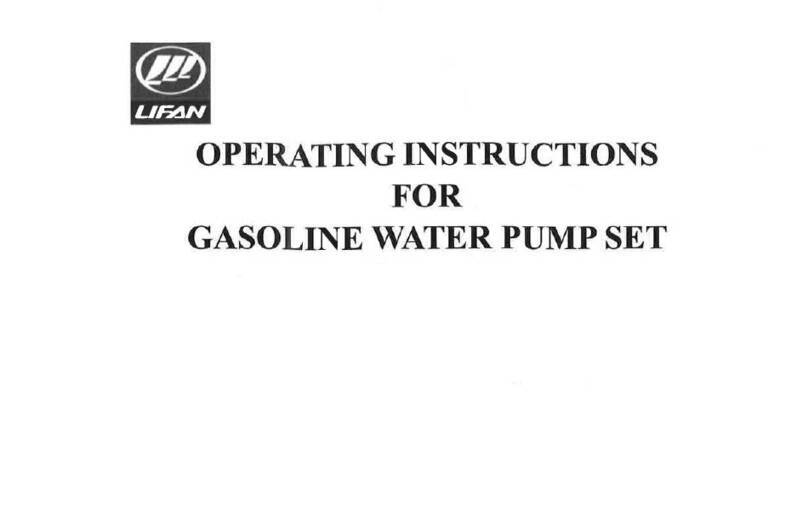 Lifan P10 operating instructions