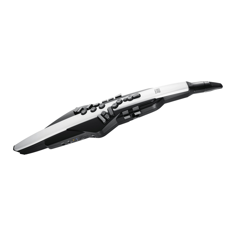 Roland AEROPHONE AE-20 User manual